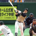 王柏融-SPORT598體育新聞5583