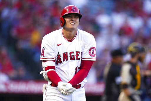 大聯盟球隊 Sport598體育網